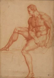 Study for Hercules
